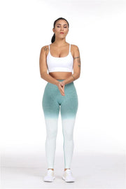 Monique Shade Legging - YogaSportWear