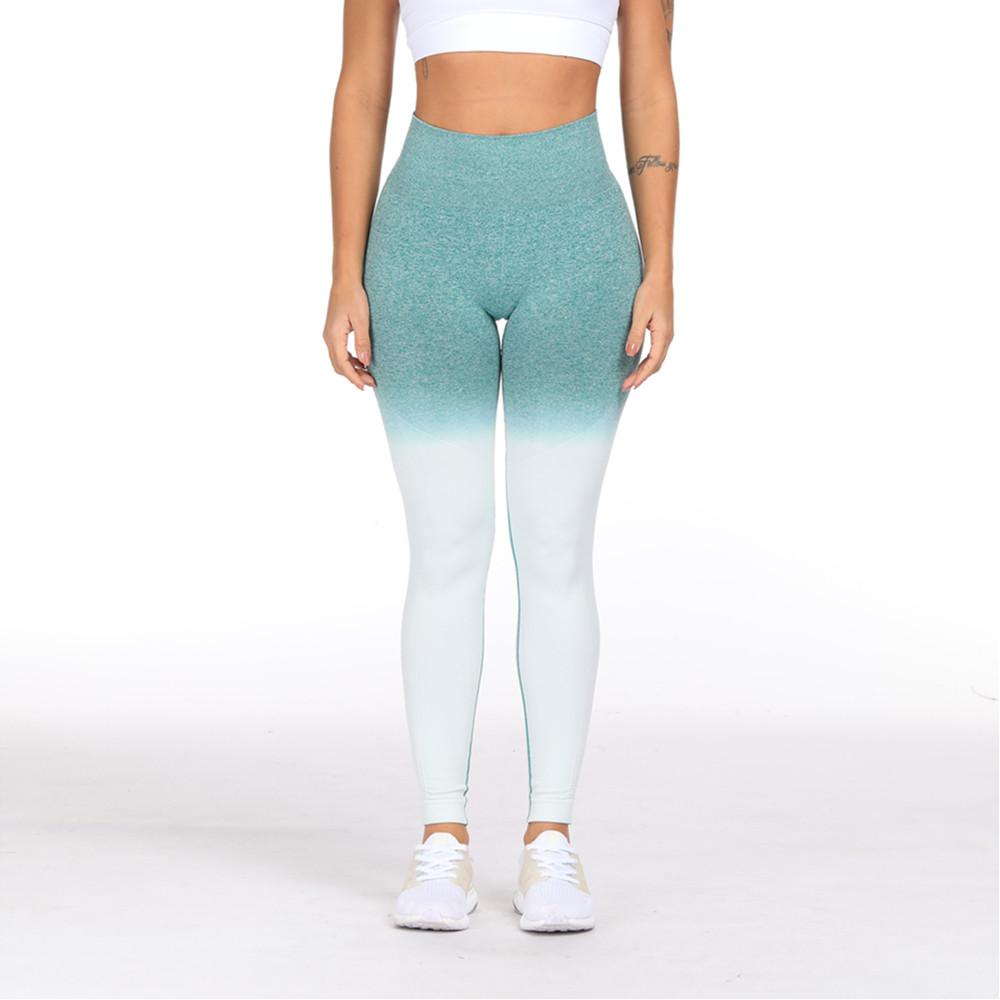 Monique Shade Legging - YogaSportWear