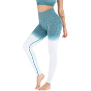 Monique Shade Legging - YogaSportWear